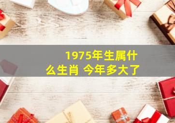 1975年生属什么生肖 今年多大了